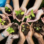 Celebrating Arbor Day: The Importance of Tree Planting